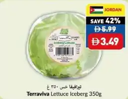 Viva Terraviva Lettuce Iceberg offer