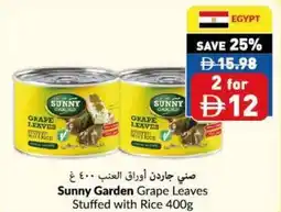 Viva Sunny Garden Grape Leaves Stuffed with Rice offer