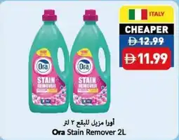 Viva Ora Stain Remover offer