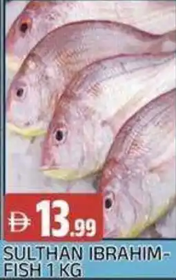 Abraj Al Madina Sultan ibrahim fish offer