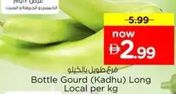 Nesto Bottle Gourd (Kadhu) Long Local offer