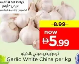 Nesto Garlic White China offer