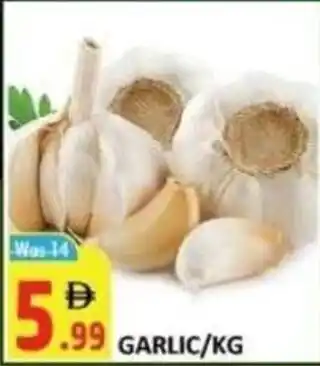 Garlic