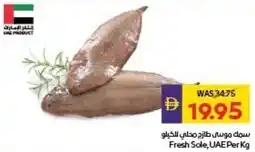 Abu Dhabi Coop Fresh Sole, UAE offer