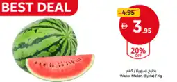 Union Coop Water Melon (Syria) offer