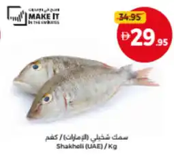 Union Coop Shakheli (UAE) offer