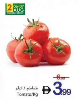 Ajman Market Tomato offer