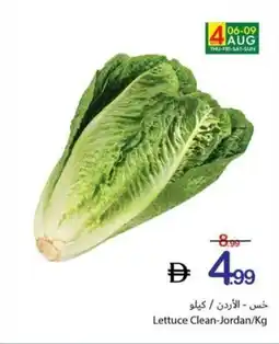 Ajman Market Lettuce Clean-Jordan offer