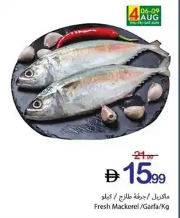 Ajman Market Fresh Mackerel /Garfa offer