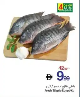 Ajman Market Fresh Tilapia-Egypt offer
