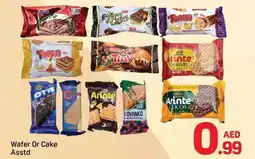 Day To Day Wafer Or Cake offer
