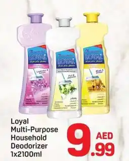 Day To Day Loyal Multi-Purpose Household Deodorizer offer