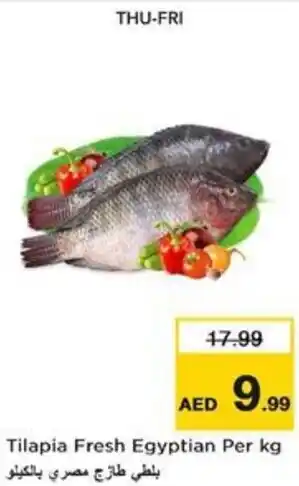 Nesto Tilapia Fresh Egyptian offer