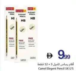 Ajman Market Camel elegent pencil offer