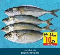 Safeer Market Big Eye Mackerel offer