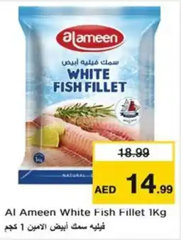Nesto Al Ameen White Fish Fillet offer