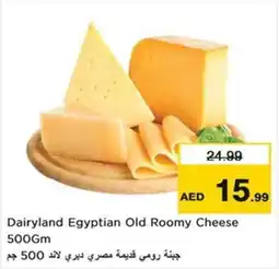 Nesto Dairyland Egyptian Old Roomy Cheese offer
