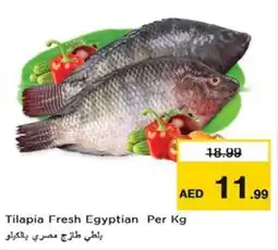 Nesto Tilapia Fresh Egyptian offer