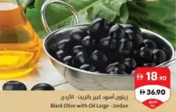 Sharjah Co-op Black olive with oil large offer