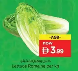 Nesto Lettuce romaine offer
