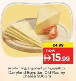 Nesto Dairyland egyptian old roumy cheese offer