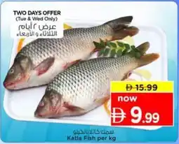 Nesto Katla Fish offer
