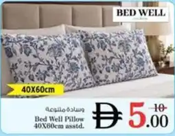 Nesto Bed Well Pillow asstd offer
