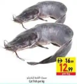 Safeer Market Cat fish offer