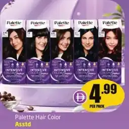 Delta Centre Palette hair color asstd offer