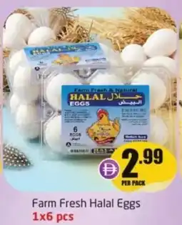Delta Centre Farm fresh halal eggs offer