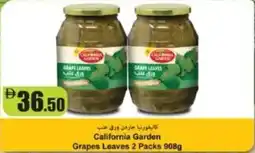 RAK Coop California Garden Grapes Leaves offer