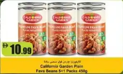 RAK Coop California garden plain fava beans offer