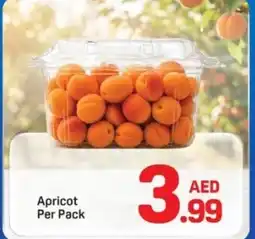 Day To Day Apricot offer