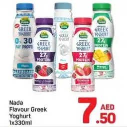 Day To Day Nada flavour greek yoghurt offer