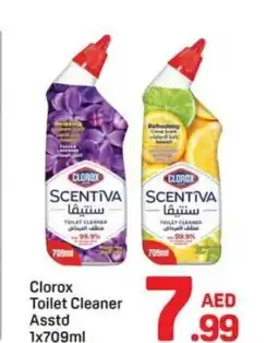 Day To Day Clorox toilet cleaner asstd offer