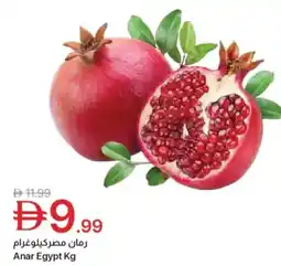 Emirates Co-op Anar egypt offer