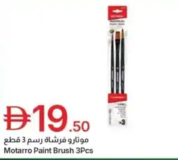 Emirates Co-op Motarro paint brush 3pcs offer