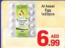 Day To Day Al aseel egg 1x20pcs offer