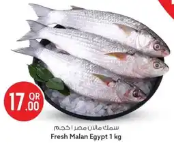 Safari Hypermarket Fresh Malan Egypt offer