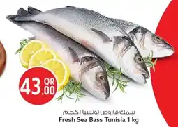 Safari Hypermarket Fresh Sea Bass Tunisia offer