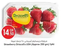 Safari Hypermarket Strawberry Driscoll's USA offer
