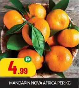Bigmart Mandarin nova africa offer