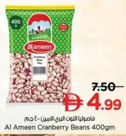 Nesto Al Ameen Cranberry Beans offer