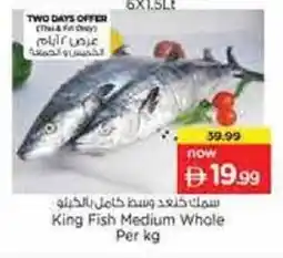 Nesto King Fish Medium Whole offer