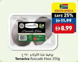 Viva Terraviva Avocado Hass offer