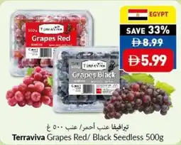 Viva Terraviva Grapes Red/ Black Seedless offer