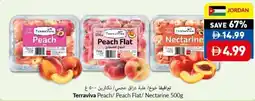 Viva Terraviva Peach/Peach Flat/ Nectarine offer