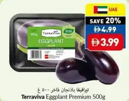 Viva Terraviva Eggplant Premium offer