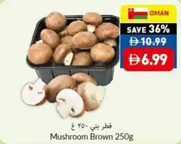 Viva Mushroom Brown offer