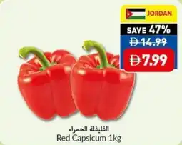 Viva Red Capsicum offer